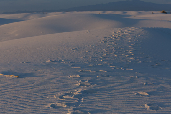 2017-04-17 White Sands (317 of 636)