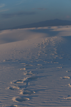 2017-04-17 White Sands (319 of 636)